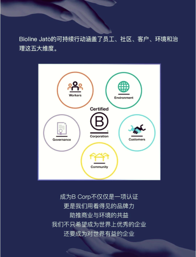 久久久久久久999精品毛，探索其独特魅力与市场价值