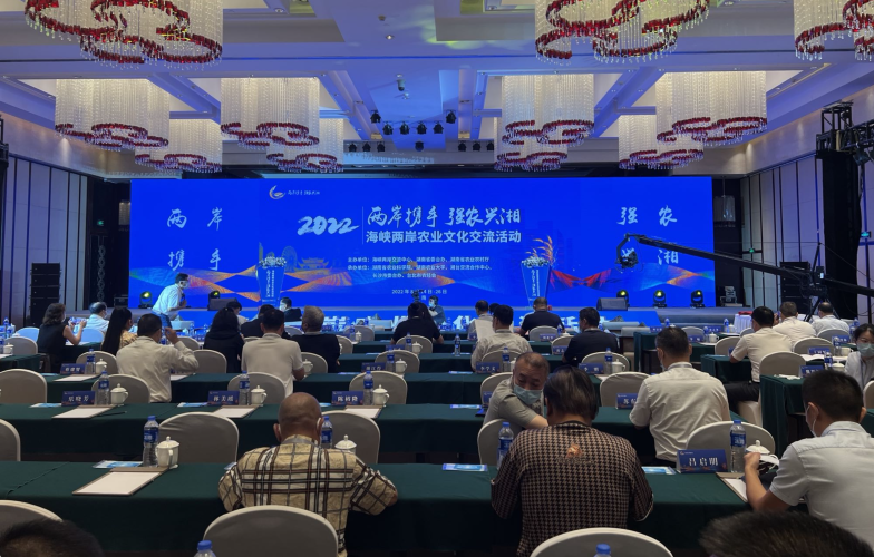 亚洲开心激情在线，文化交流与在线新闻的盛宴亚洲ht
