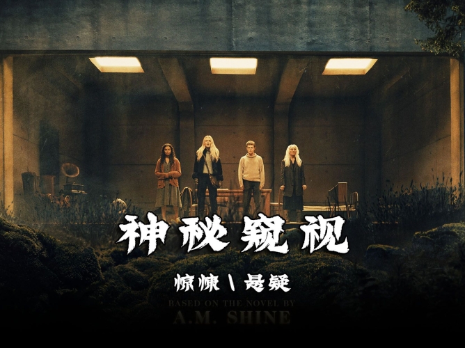 免费高清毛片在线播放免费高清毛片在线播放，探索神秘魅力