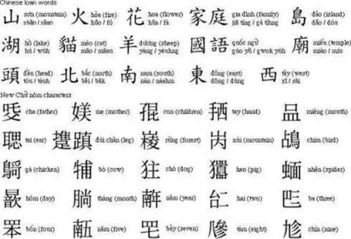中文无码日韩欧免费视频APP探索免费视频APP的多元角色与魅力