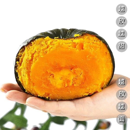 国产精品特级无码免费视频，引领视频新时代