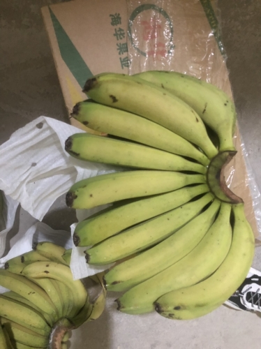 99久久精品视香蕉蕉AⅤ探索香蕉产业的新篇章