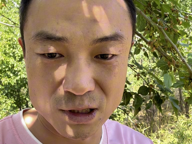 男人的天堂香蕉在线视频男人天堂，探索香蕉在线视频的魅力世界