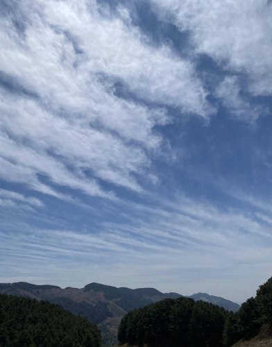 日本青青在线观看，探索神秘文化盛宴日本青青草原在哪个县