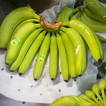 精品香蕉一区二区三区精品香蕉一区二区三区，探秘香蕉游戏世界