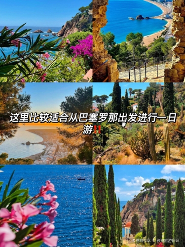 亚洲最大综合网—探索网络世界的璀璨明珠